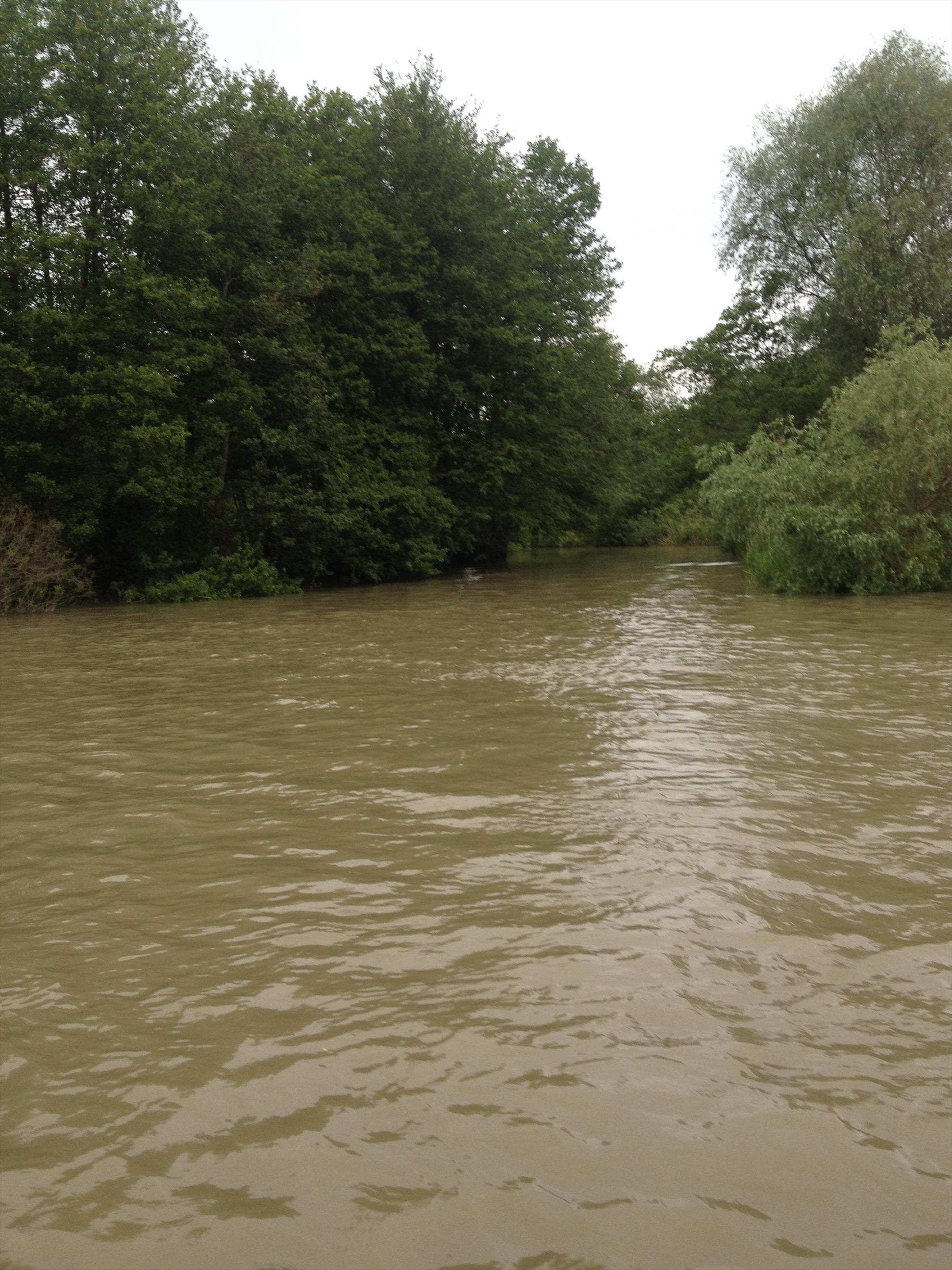 Delta Dunarii - img1118.JPG